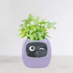 Smart Plant Mate Purple