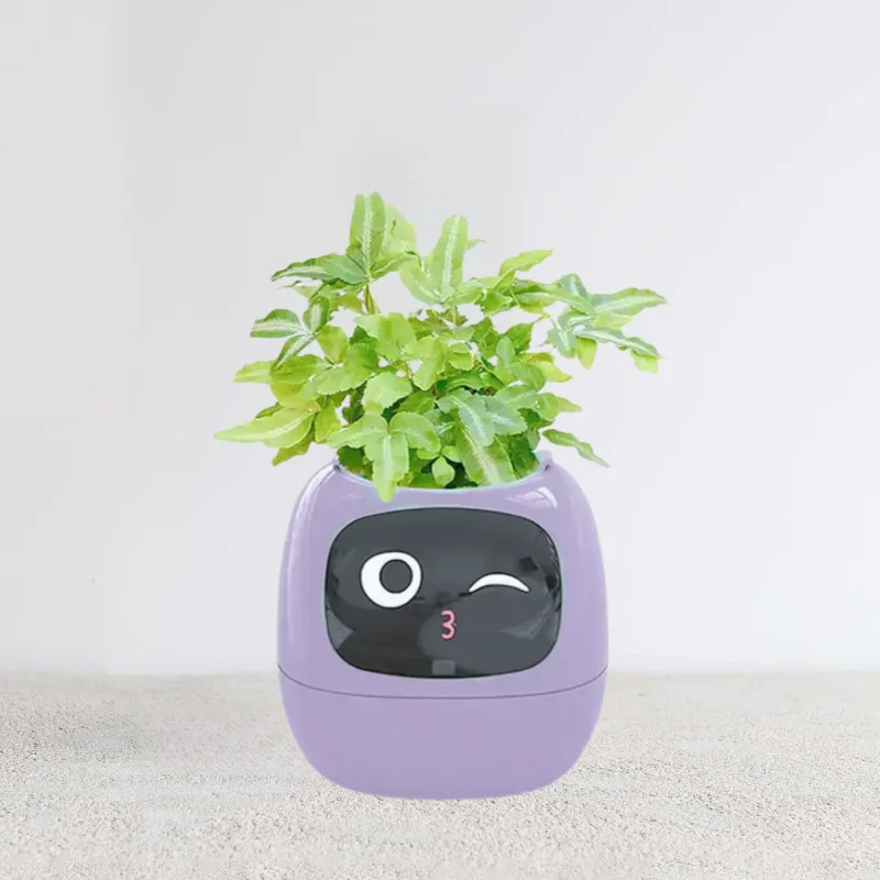 smart plant mate Purple main picture 800 800 800 800 2