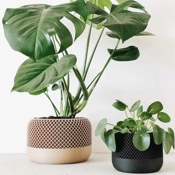 Apple Indoor planter - Image 4