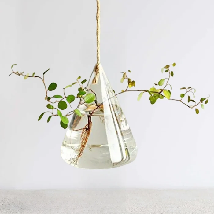 Glass Hanging Planter 4 800 800 211