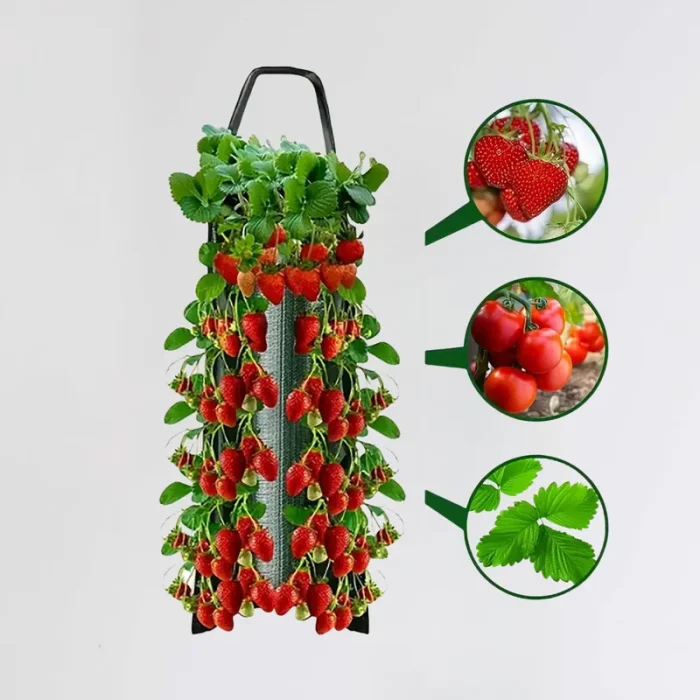 Hanging Strawberry Flowerpot Bag 1 800 800