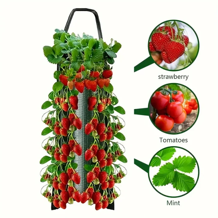 Hanging Strawberry Flowerpot Bag 2 800 800