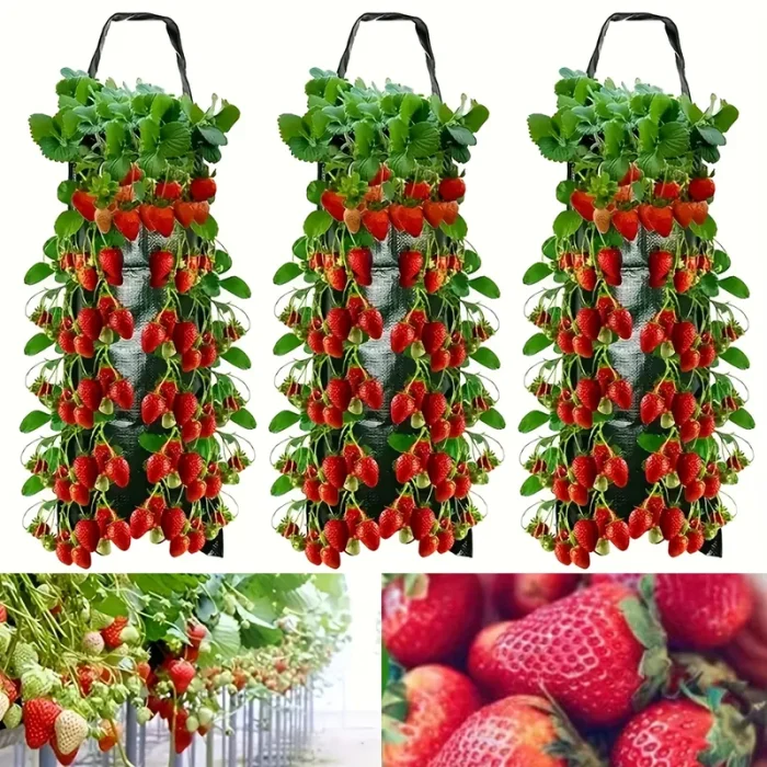 Hanging Strawberry Flowerpot Bag 5 800 800