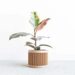 JAPAN Indoor Planter