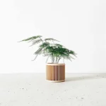 JAPAN Indoor Planter - Image 2