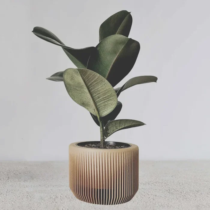PRAHA Indoor Planter - Image 1