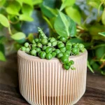 PRAHA Indoor Planter - Image 3