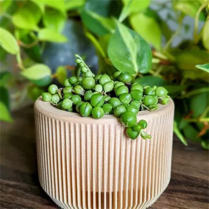 PRAHA Indoor Planter - Image 3
