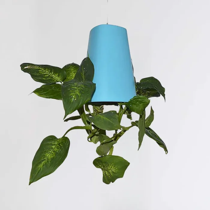 Upside Down Planter 4 800 800 1