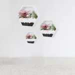 3 pc Wall Hanging Planter White