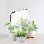LED Grow Light