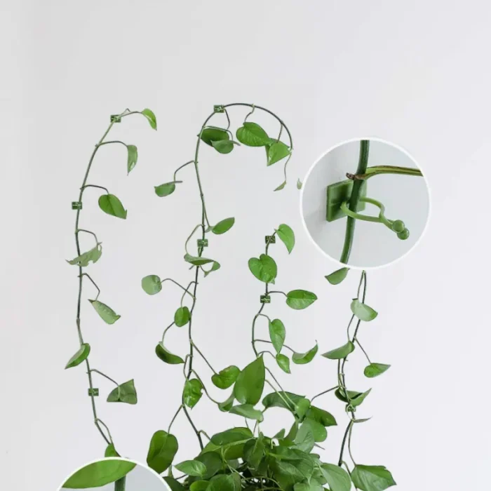60 pcs Wall Plant Clip Set - Image 1