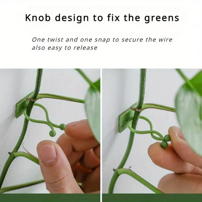 60 pcs Wall Plant Clip Set - Image 7